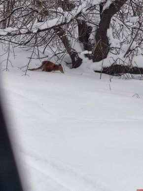 � ������� ����� �������� ������� ���� � ������������ ������ �� ����������