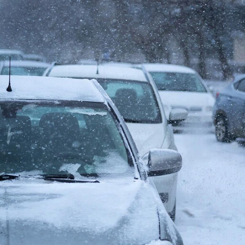 ������� ��������� ������� 12 ������ ������� ������������ ������