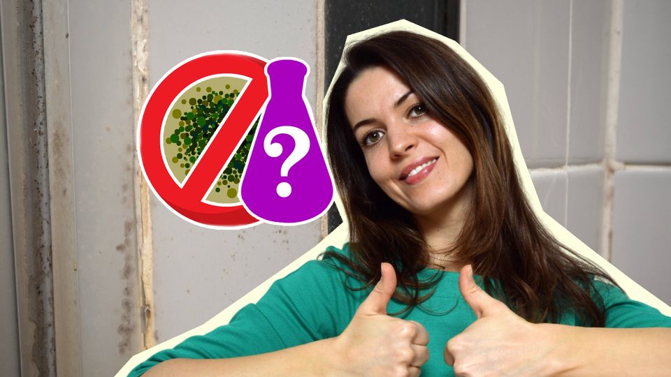 ��� �������� ��������� ������� � ������ ������ � �������: ����� 30 ������