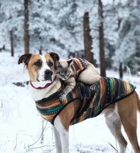 �� -18 �������� ������������ � ��������� ������� 13 ������