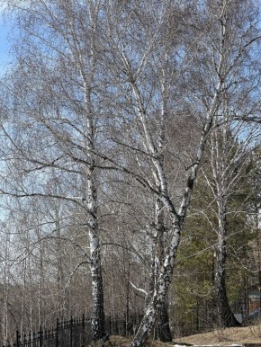 ��������� ������: ��������� ������� ��� ������ ����