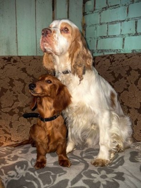 ��������� �� ��������� ������� ������� ����� ��������� ��������� � ��������� �����, ������� ���������� ������� ������ ����������