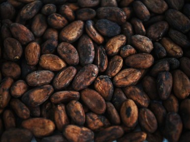 ������� ���� �� �����-����: ������������ ���� ��� ������� �����