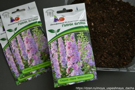 ������� ��������� ����������� ������������: ��������� ���������� ������ �� �������