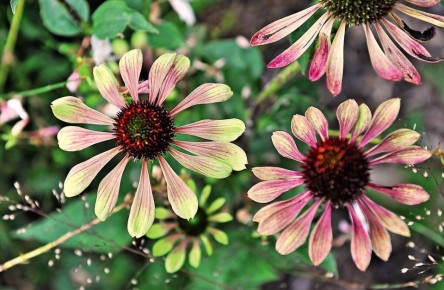 10 ���� ��� ��������������� ������ ���� � 2026 ����