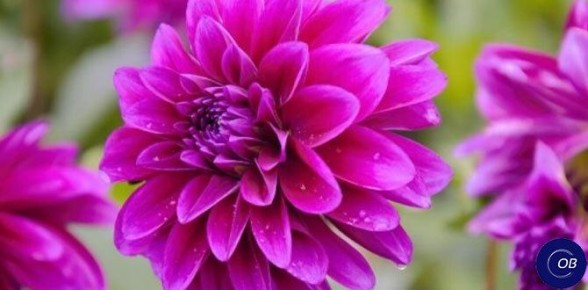 ��������: ������� ����� ��� ������ �������� � ����� ����