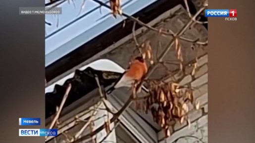 � ������ ������� ���������� ����� �� ����� ������������ ���������� �����