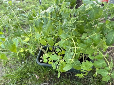 ����� ����� �� ��������� ��������: ��� ������ ������ �� ������