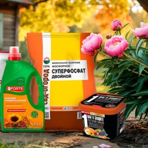 ������ ������� ��������� ����� ��� ����� ��������