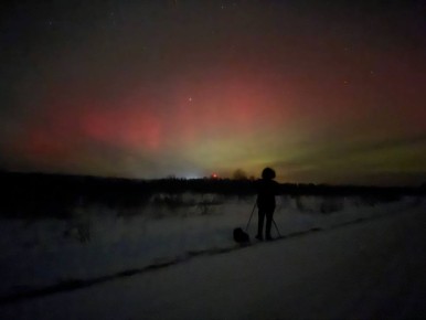 ����� ������ ����� ������