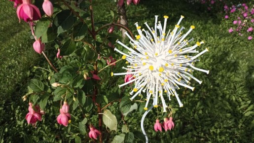 �������� ���������� ������� �����: ������-����� �� �������� �����������