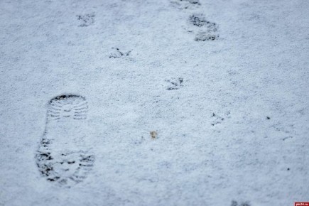 ������������� ������ ������� ������-����� ������ � ���������