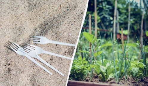 ��������� �������� �����������: ��� ����������� ����� ����� ������ ������