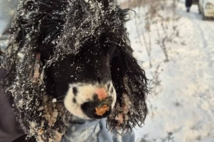 ����������� ��������� ������� �������� ���� � ����������� �� ����� �������