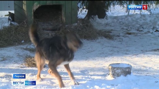 � ����� "������" � ������� ��������� ������ ���������� ������, �������� �� � ����� � ��������� ������