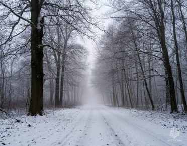 ����������� ���������� ������ ����������������� � ����������� ���������� ����� ������������� ������� ������� � ����������� ������