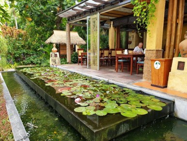 �������� � Bamboo Village: ��� ������� ������ ������������ �����