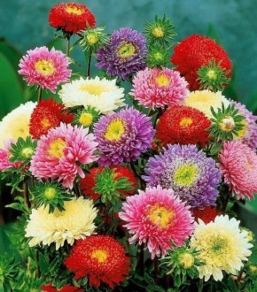 ������� ������ ������ ����: ��� ������ ��� ������ ����