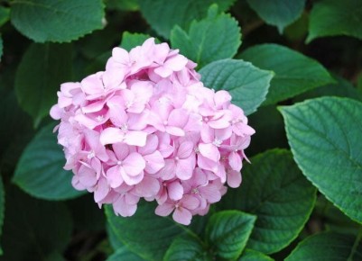 ��� �������� ���� ���������: ������� ������ ��� ���������