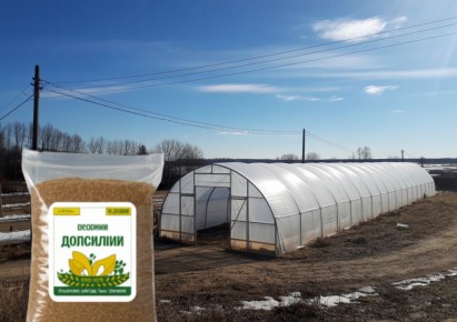 ��� ���� ������� ������� �������� ��������� ���� ������ ������