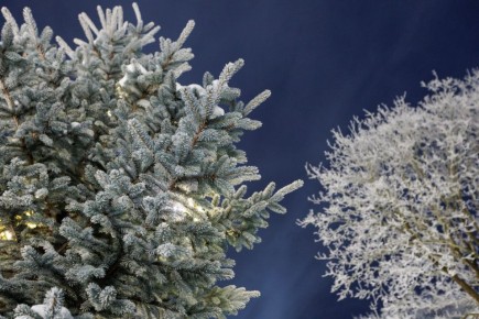 �� -9 �������� ������������ � ��������� ������� 21 ������