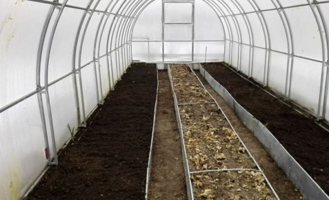 ��� ������ ����������� ������� � ������ ������