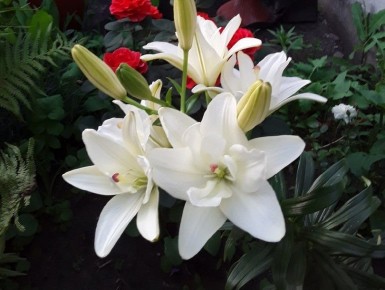 ����� �����: ��������� ��������� ��� ������ ����