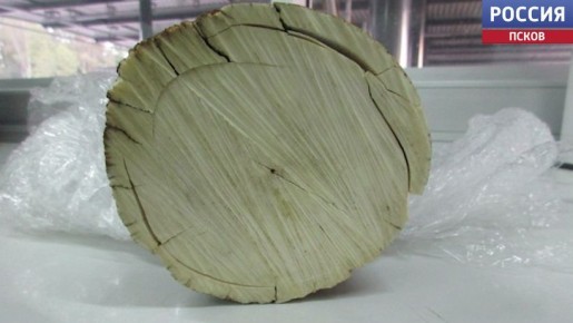 ������ �������� ������� ������� �� ����� ������ �������