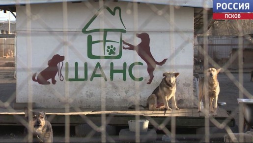 �������� "����" ������ ��������� ������ � �������� ������