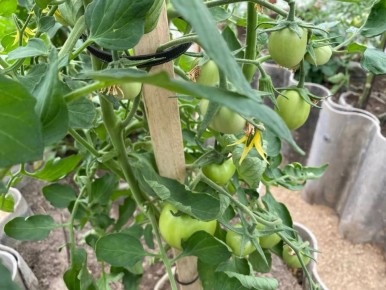 ������ ��������� ������: ��� ������ ���������� ��� ������ � ������� ���