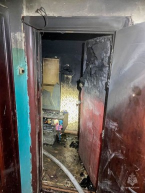 Два человека погибли и один пострадал на пожаре в Новосокольническом МО