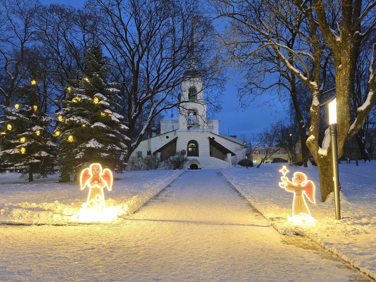 До -21 градуса прогнозируют в Псковской области 26 января