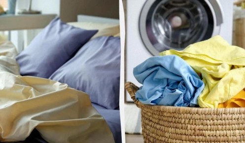 ����������� ������: ��� ��������� ��������� �� ���������� ������