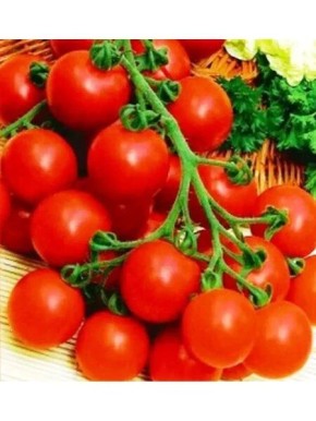 ����� ������� F1: ��������� ����� ��� ��������� �����������