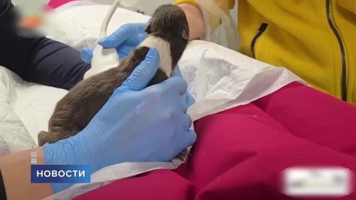 � ��������� ������� ���������� ��������� �� ��������� �������� �� ��������� ����������� � ���������� ������