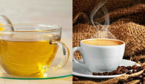 ���� ����� ������� ��� �� ����: ��� ����� ������� �������� ������ � ������������