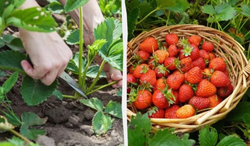 ������� �������� ����� ��������� ����� ������������: �������� �������� ��� �������