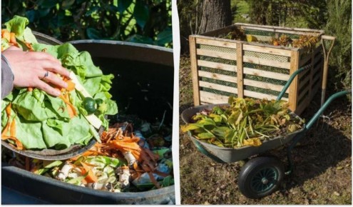 ��� ������ ������ � ������� � ��� �������� ����� ���������