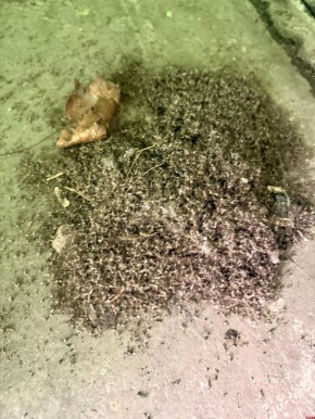 � ������ � �������� ���� �� ������� � ��������� ������� � ������� ����� �����������