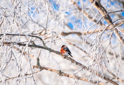 ������ ����, ������! 28 ������ � ��������� ������� ��������� �������� ������