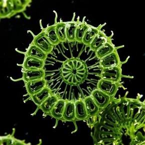 ��������� �� ����������� ��� ������� �������� ������� � ��������� ���������