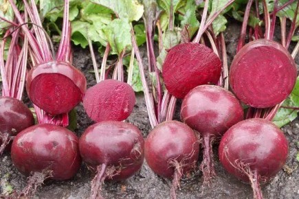 ������� �������� ������������: ��������� � ������������� ���� ��������� ��� ��������