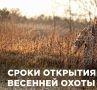 В Псковской области перенесли срок весенней охоты