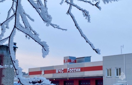 ��� �������������: �� ���������� ��������� ������� ��������� ���������-�������� ������