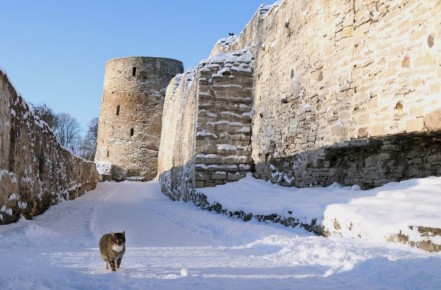 29 ������ � ��������� ������� ��������� ���������� ����������