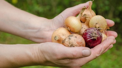 ��� ����� ���� ���������� ���� ����� ������� ���������: �� ������� �� ��� �� �������