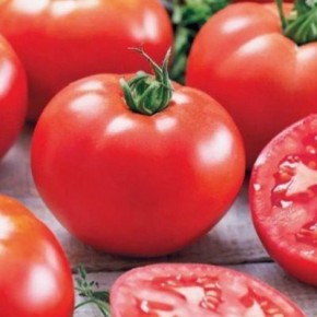 ����� ����: ������������ � ��������������� ��� ������� � ���������