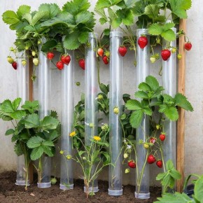 ������������ ������ �� ���-�����: eco-friendly ������� ��� �������