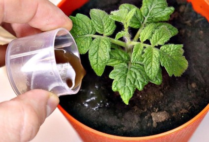 ����������� ��������� ��� �������: ��� �������� �������� ���������� ����������