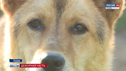 ����� �� ����������. � ��������� ������� ���������� ������� ���������� �������� ����� ����������� �������